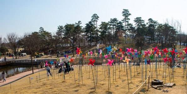 서울 택시 여행 파주 평화 누리 공원